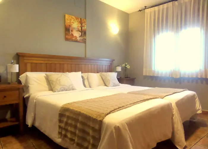 酒店 托雷多老城酒店 3*