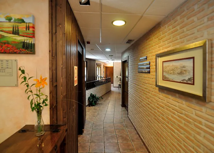 酒店 托雷多老城酒店 3*