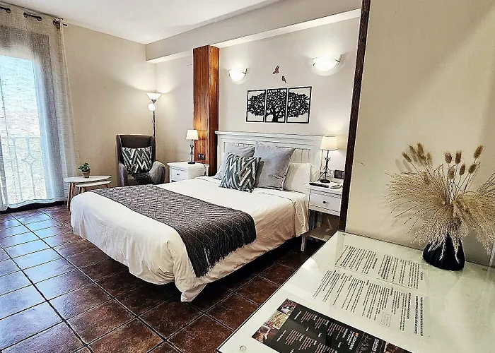 托雷多老城酒店 3* 托萊多